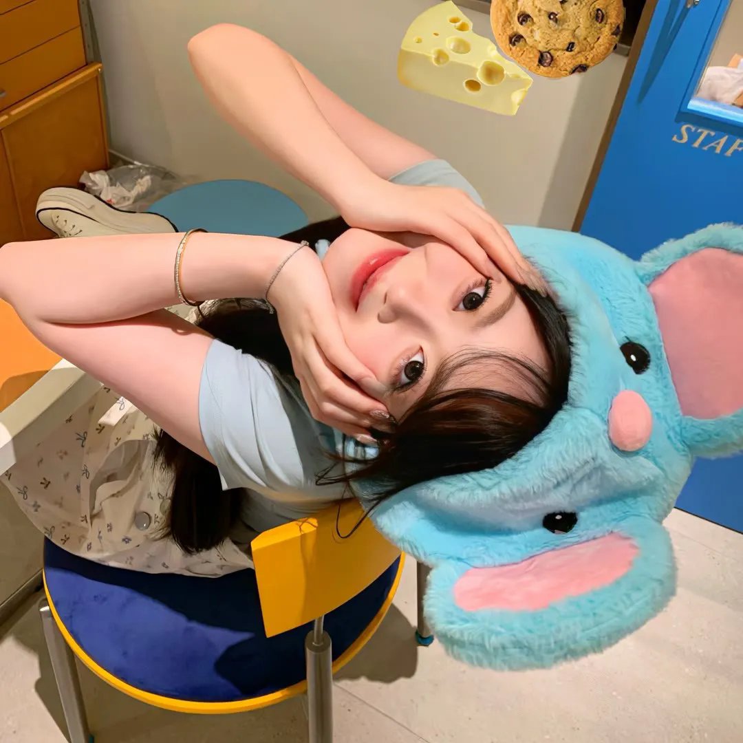 午夜天鹅